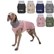 犬 服 着せ やすい