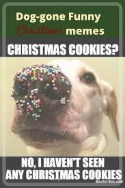 My favorite gingerbread men cookies. Dog Gone Funny Christmas Memes Plus Friday Frivolity Munofore