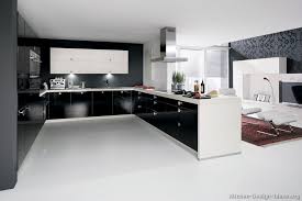 contemporary kitchen cabinets  the