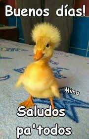 Resultado de imagen de frases buenos dias martes