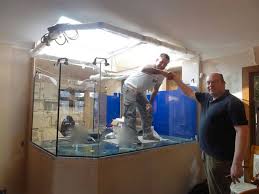 Marine aquarium with artificial reef installed in cape town. Fish Fanatic Installed Enormous Aquarium Which Almost Tore House Apart While His Wife Was On Holiday Mirror Online
