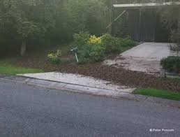We did not find results for: Bush Turkey Removal Brisbane Get Rid Of Bush Turkeys