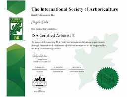 How to become a certified arborist lawn care to landscaping expert | daniel miraval is a certified arborist and tree health care professional and tree. Erik Nobs Senior Arborist Oneils Tree Service Linkedin