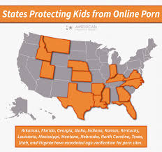 American Principles 🇺🇸 on X: Yesterday, Georgia Governor Brian Kemp  signed SB 351 requiring adult websites to verify the ages of users to  ensure minors are not given access to obscene content.