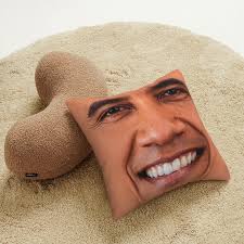 Dwight Schrute Pillow