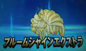 ポケモン】サン・ムーンその２０（四天王戦開始！！） | ゲーム馬鹿の庭