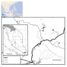 Find the best hotels in genting highlands with rates as low as from au$38 with lastminute.com.au. Pdf Coleoptera Of Genting Highland Malaysia Species Richness And Diversity Changes Along The Elevations