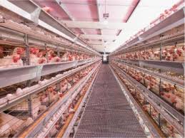 The increased population and better family income has led to a higher demand. Agricultural Robotics Research Applicable To Poultry Production A Review Sciencedirect