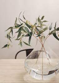Artificial Seeded Eucalyptus Leaves 23 Tall Seeded Eucalyptus Floral Arrangements Diy Eucalyptus Leaves