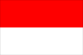 Flyvpn Provide Indonesia Vpn Servers There Are About 3 Servers Locate In Indonesia Support Pptp L2tp And Ope Pastel Colour Palette Bright Pastels Color Palette