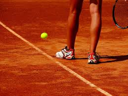 Les serres de roland garros, côté court, côté jardin. Combien Gagne Le Vainqueur De Rolland Garos Le Business Mag