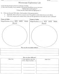 The worksheet collection takes a deep look at all the parts of the various cells. Plant And Animal Cells Worksheet Worksheet List