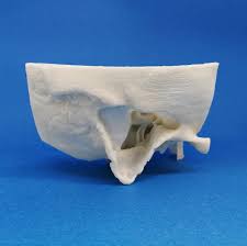 There are currently no models in your cart. 3d Printed Temporal Bone Models Kezlex