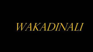 Sch allo maman lyrics genius lyrics chordify is your #1 platform for chords. Wakadinali Interlude Lyrics Paroles Afrikalyrics Cute766
