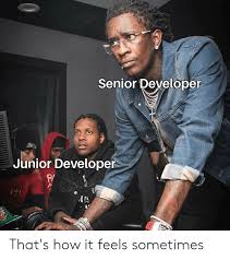 Whenever you hire a team of developers to build your product, they will have varying levels of skills and experiences. Senior Developer Junior Developer T S That S How It Feels Sometimes Programmer Humor Meme On Me Me