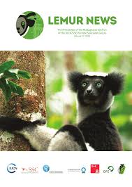 Image result for Erythroxylum platycladum