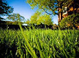 Owner jerry lamb has been in the pest control business titusville, fl 32796 • family owned and operated since 1980 office: Tom Jerry S Pest Control Specializing In Interior Pest Control Lawns And Shrubbery Termites Bed Bugs And Tent Fumigation
