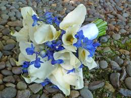 Maybe you would like to learn more about one of these? Flower Types Eugene Wholesale Flowers