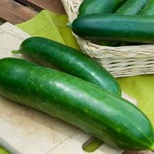 Image result for Cucumis humifructus