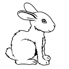 Check spelling or type a new query. Kleurplaat Van Een Konijntje Printen Leuk Voor Kids Rabbit Illustration Animal Illustration Animals