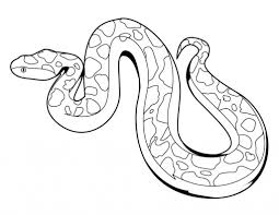 Free Printable Snake Coloring Pages For Kids Zoo Animal Coloring Pages Animal Coloring Pages Snake Coloring Pages