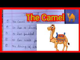 Compare arabic جَمَل‎ (jamal) and hebrew גמל‎ (gamál). The Camel 10 Lines Easy Essay On The Camel For Kids Youtube