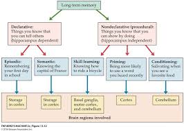 this isnt exactly how long term memory is described in