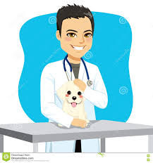 Weterynarz lekarki pies ilustracja wektor. Ilustracja złożonej z ...