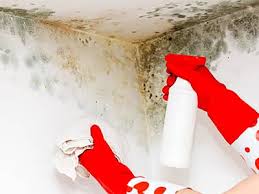 Hier mal eine einfache methode, mit der man schimmel entfernen kann im. Schimmel Entfernen So Funktioniert Es Hagebau De