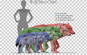 Pngtree offers over 781 dire wolf png and vector images, as well as transparant background dire wolf clipart images and psd files.download the free graphic resources in the form of png, eps, ai or psd. Coyote Dog Dire Wolf Northwestern Wolf Canidae Png Clipart American Lion Animal Canidae Canine Tooth Canis