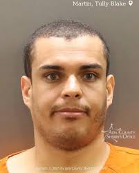 Tully Martin booked for Domestic Violence-Violation of Protection Order