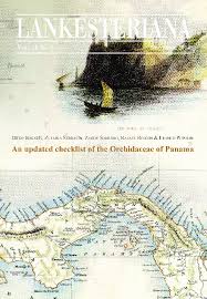 Image result for Microcharis annua