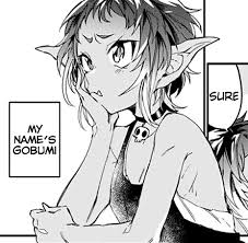 A young priestess joins a group of rookie adventurers who decide to raid a cave infested with goblins. Goblins Gotta Pay Rent Work 9 To 5 Just Like The Rest Of Us Monster Girls Know Your Meme