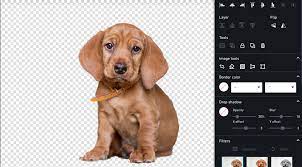 A simple and quick tutorial on how to cut out an image and remove the background in photoshop. How To Make Background Transparent In Photoshop