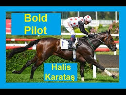 Sampiyon At Bold Pilot Ve Jokeyi Halis Karatas Hakkinda Youtube