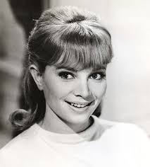 Custer" Death Hunt (TV Episode 1967)