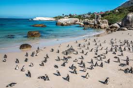 86,357 likes · 58,673 talking about this · 1,668 were here. 14 Top Rated Tourist Attractions In The Western Cape Planetware