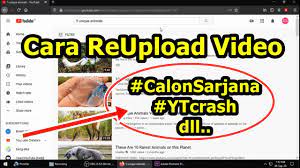 Pin En Rangzone Youtube Channel