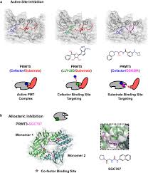Hot chocolate dharker studio chromo xy.zip Targeting Protein Methylation From Chemical Tools To Precision Medicines Springerlink