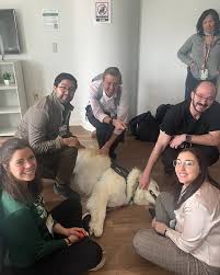 On Aug. 3, Mary Haffner Holloway will jump into Lake Michigan as part of  Swim Across America's Chicago Open Water Swim. She swims to keep her  brother's spirit alive and to support