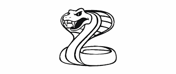 Sharpie (or something to draw with). Clip Black And White Drawing Snake Black Mamba Cartoon King Cobra Transparent Png Download 1249316 Vippng