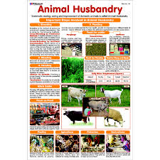 Chart No 114 Animal Husbandry
