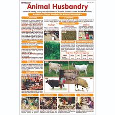 Chart No 114 Animal Husbandry