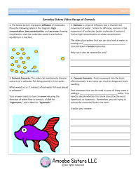 What is the phenotype of the f1 seeds? Amoeba Sisters Video Recap Answers
