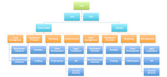 organizational chart ceo cfo bedowntowndaytona com