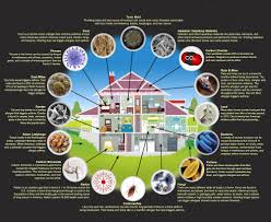 How To Cleanse Your Home Of Indoor Pollution And Prevent Damaging Mold Linked Symptoms Indoor Air Pollution Air Pollution Indoor Air