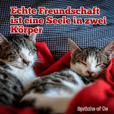 Sprüche Of Os Seelenmomente Facebook