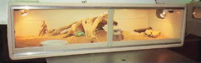 Please use caution when using sand or other substrates and be sure to give your bearded dragon regular baths to. Making A Home For Your Dragon Diy 12 Ways Of Care For Pet Bearded Dragon Rogue Shock