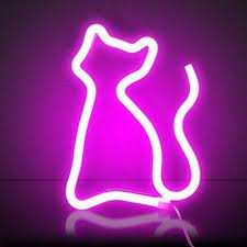 Echo Led Neon Lamp Echo Neon Studio Video Video Neon Signs Neon Light Signs Custom Neon Lights