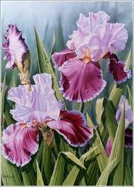 Pin By Janet Lockhart On Iris Love Iris Painting Iris Flowers Iris Art